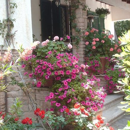 La Zattera Camere San Vincenzo Zewnętrze zdjęcie