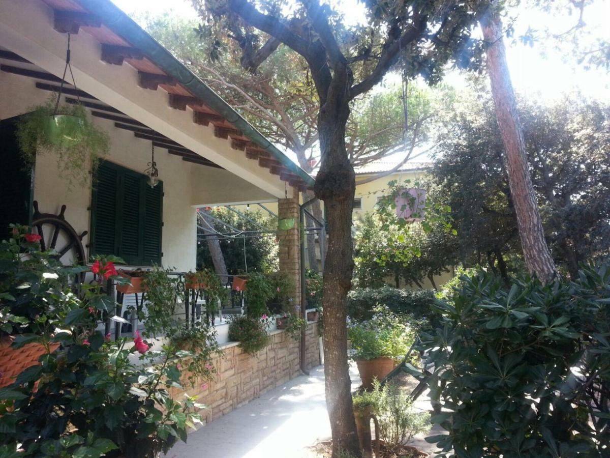 La Zattera Camere San Vincenzo Zewnętrze zdjęcie